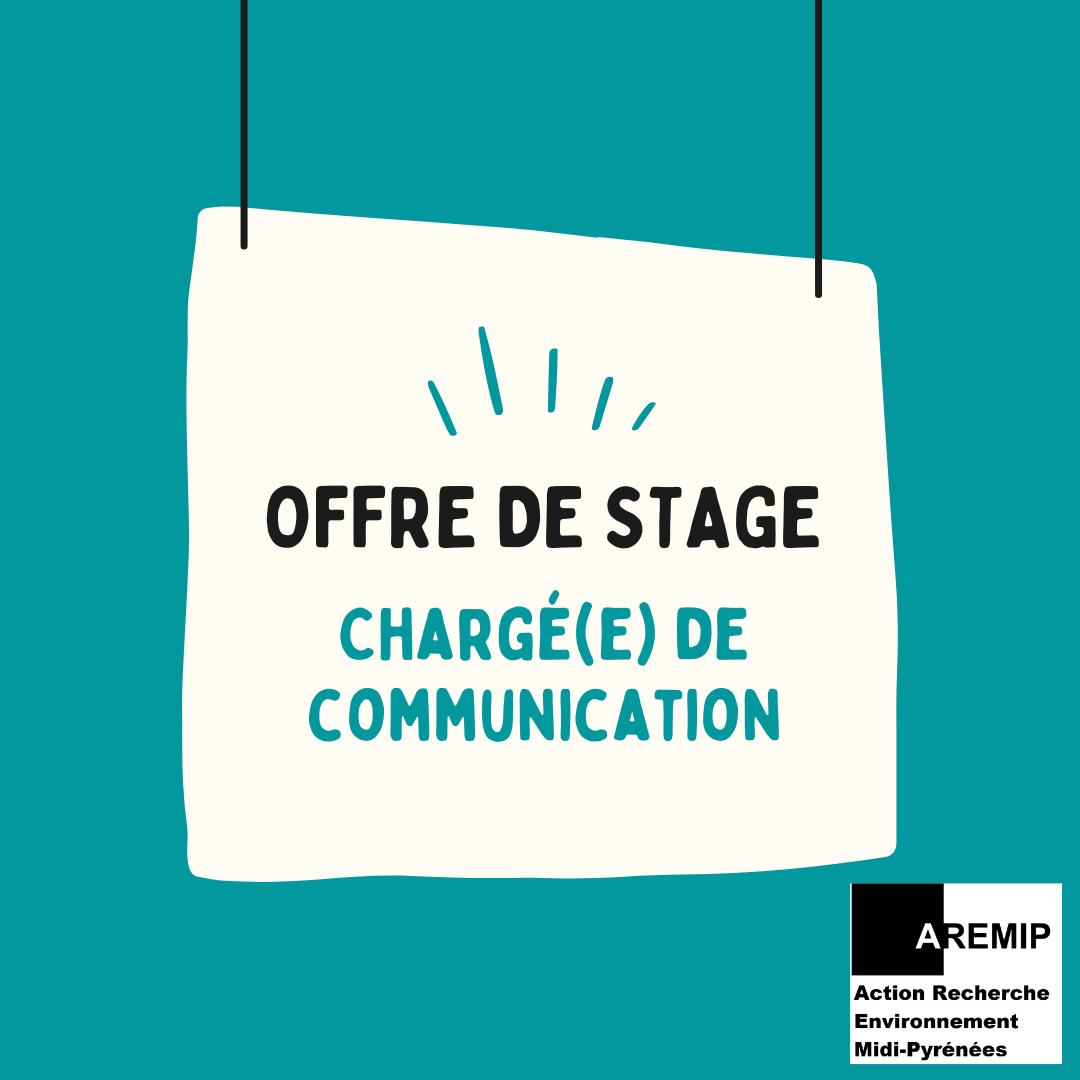 offre stage