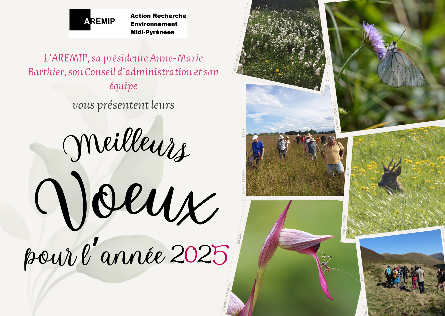 voeux